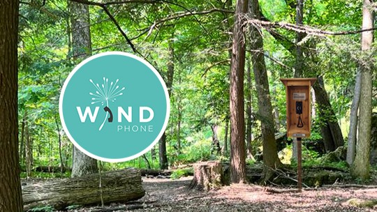 Image of phone in forest