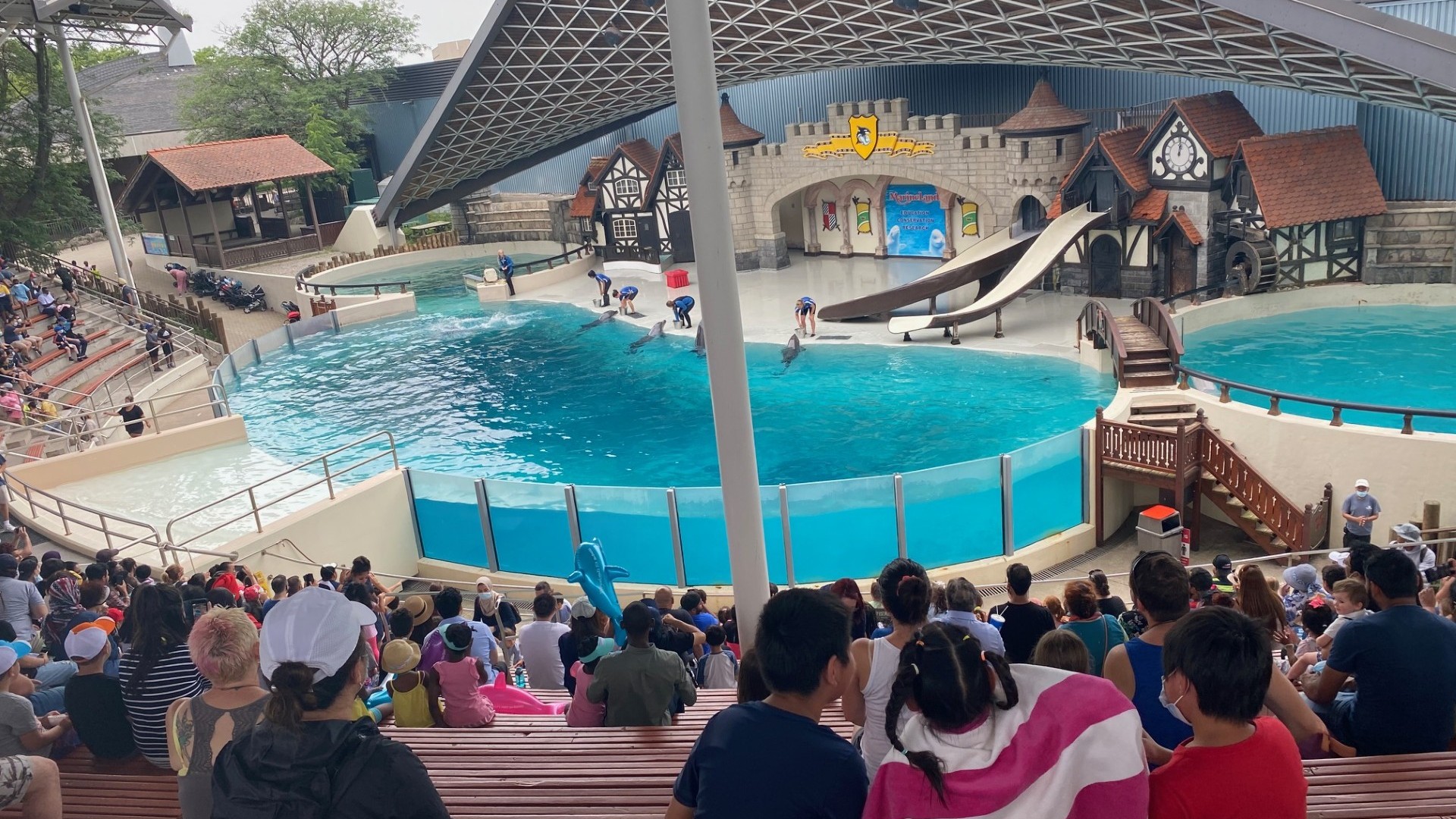 Marineland stage is shown with animals performing
