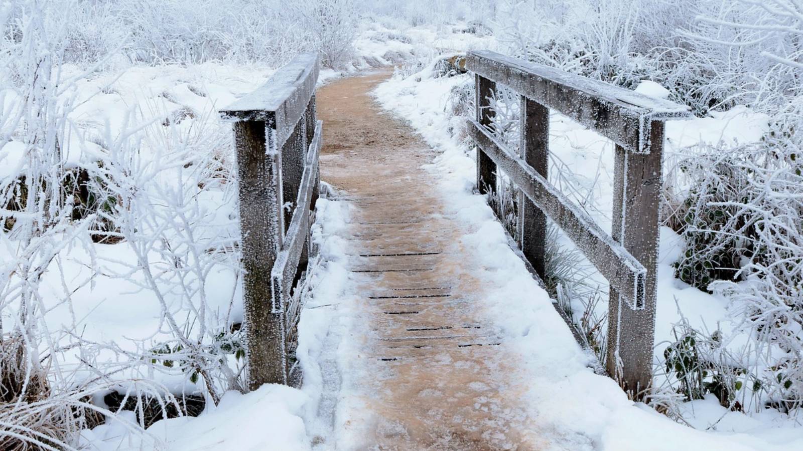 Snowy outdoor picture with bridge