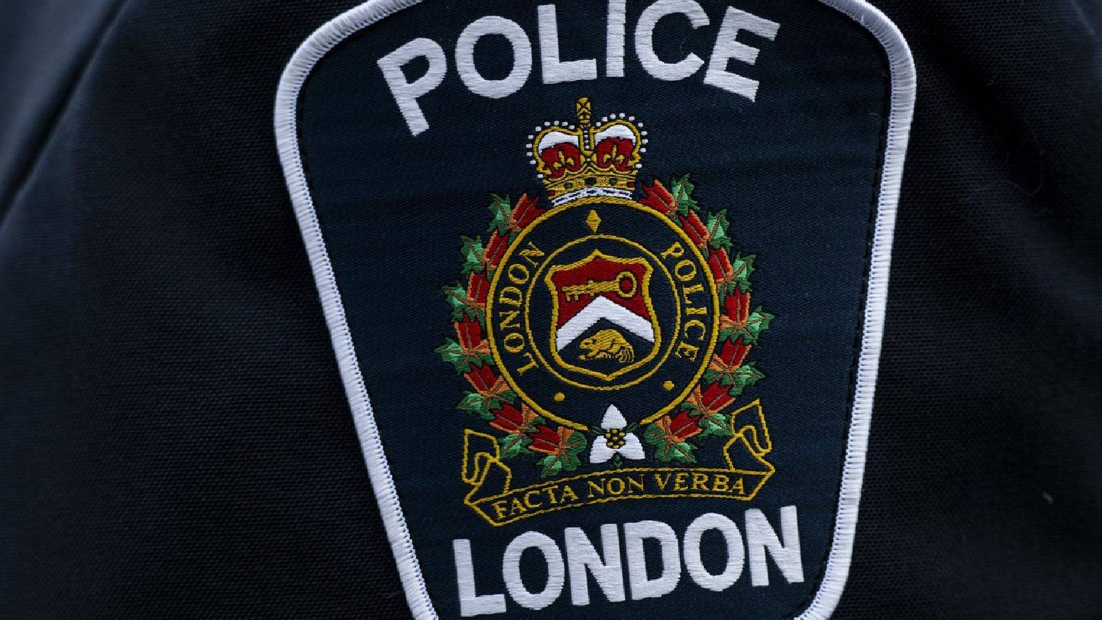 Image of London Police Service badge