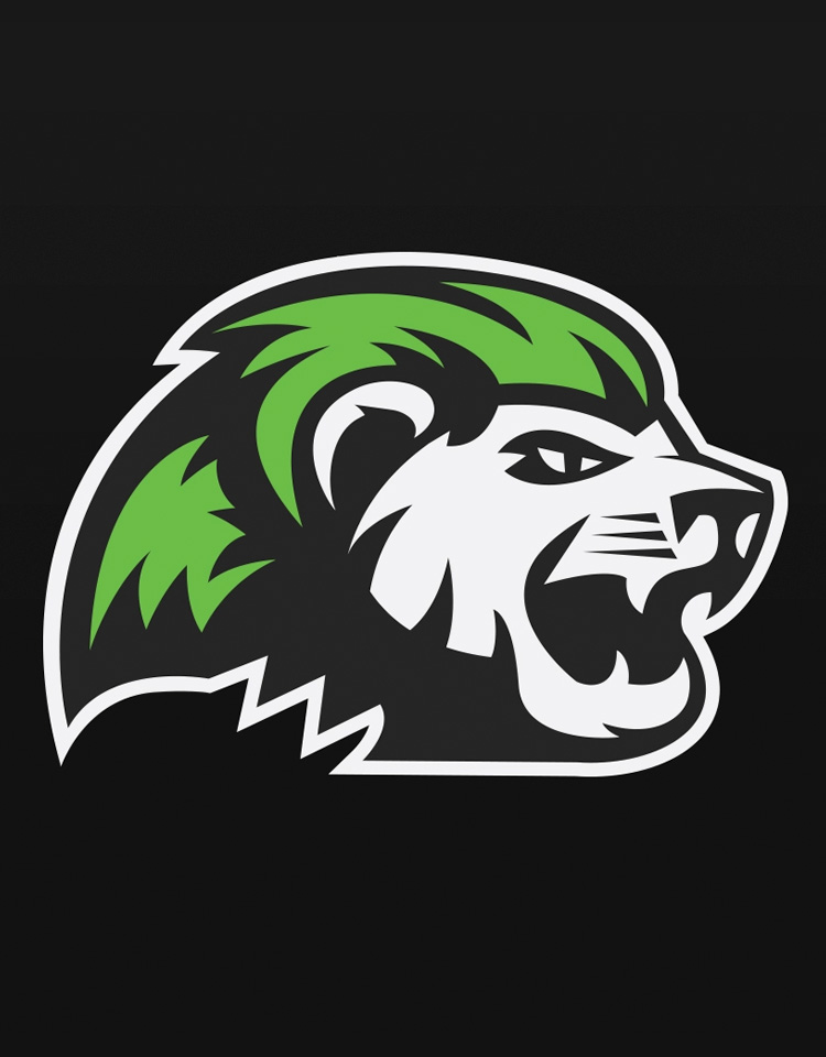 Niagara River Lions Logo